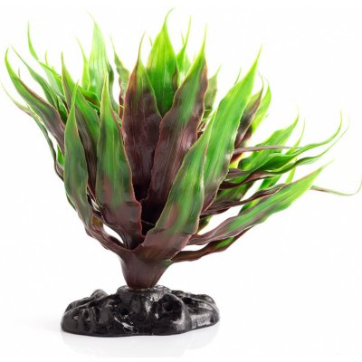 Repti Zoo Alternanthera Colorata 20 cm – Zboží Mobilmania