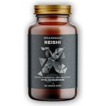 BrainMax Reishi extrakt 500 mg 100 rostlinných kapslí – Hledejceny.cz