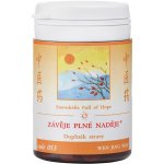 TCM Herbs Závěje plné naděje 100 tablet – Hledejceny.cz