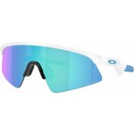 Oakley Resistor Sweep – Hledejceny.cz