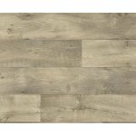 Beaulieu Fortex 2940 5 m 1 m² – Zbozi.Blesk.cz