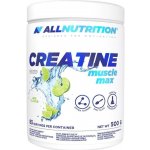 All Nutrition CREATINE Muscle Max 500 g – Hledejceny.cz