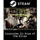 Disciples 2: The Rise of the Elves