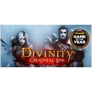 Hra na PC Divinity Original Sin