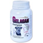 Orling - Gelacan Champion psi černobílá plemena 150 g – Hledejceny.cz