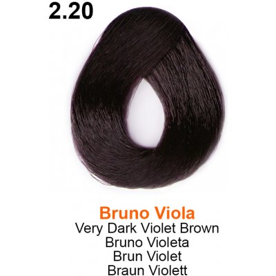 Trend Toujours barva na vlasy 2.20 100 ml