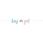 UNIQUE Girlanda gender reveal kluk nebo holka 213 cm – Hledejceny.cz