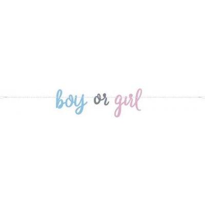 UNIQUE Girlanda gender reveal kluk nebo holka 213 cm – Hledejceny.cz