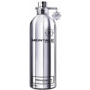 Montale Vanille Absolu parfémovaná voda dámská 100 ml tester