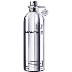 Montale Vanille Absolu parfémovaná voda dámská 100 ml tester – Hledejceny.cz