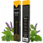 Bilovit Přírodní vonné tyčinky Patchouli 40 g – Hledejceny.cz