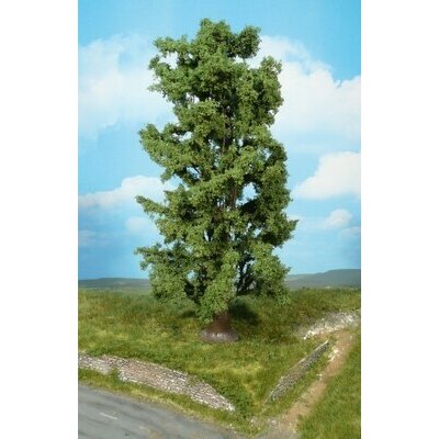 Heki Kittler 1 javor skalní 30 cm 1742 – Zboží Mobilmania