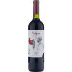 Vylyan Cabernet Franc 2018 14,5% 0,75 l (holá láhev) – Hledejceny.cz