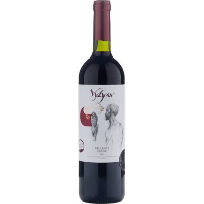 Vylyan Cabernet Franc 2018 14,5% 0,75 l (holá láhev) – Hledejceny.cz