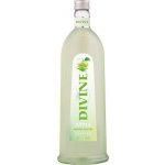JELZIN SAURER APFEL 16,6% 0,5 l (holá láhev) – Zboží Mobilmania