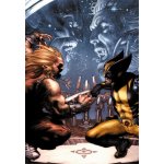 Wolverine: The Death And Life Of Sabretooth - Jeph Loeb – Sleviste.cz