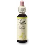 Bachovy květové esence Oliva Olive 20 ml – Hledejceny.cz