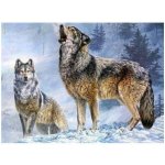 Norimpex Diamantové malování Vlčí volání 30 x 40 cm – Sleviste.cz