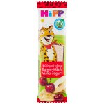 HiPP BIO Oplatka Banán-Višeň-Jogurt 23 g – Zboží Dáma