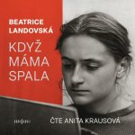 Když máma spala - Beatrice Landovská – Hledejceny.cz