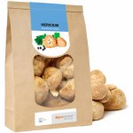 MycoMedica Hericium korálovec ježatý sušený 100 g – Zboží Dáma