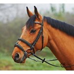 Busse Nánosník ENGLISH KOMBINIERT Černá – Sleviste.cz