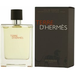 Hermès Terre D'Hermès toaletní voda pánská 100 ml