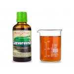 Bylinné kapky Zázvor kořen tinktura 50 ml – Hledejceny.cz