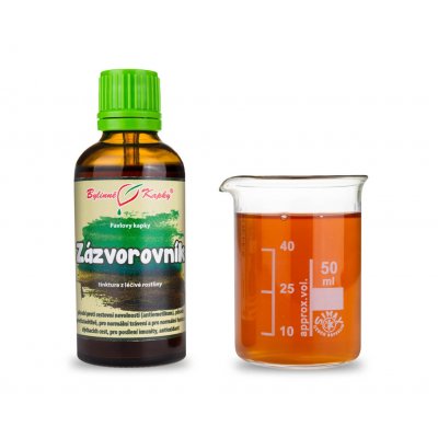 Bylinné kapky Zázvor kořen tinktura 50 ml – Hledejceny.cz
