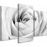 Gario Obraz na plátně White rose - 3 dílný Rozměry: 60 x 40 cm – Zbozi.Blesk.cz