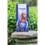 Hyalutidin Mobility HCC 2 x 500 ml – Zboží Mobilmania