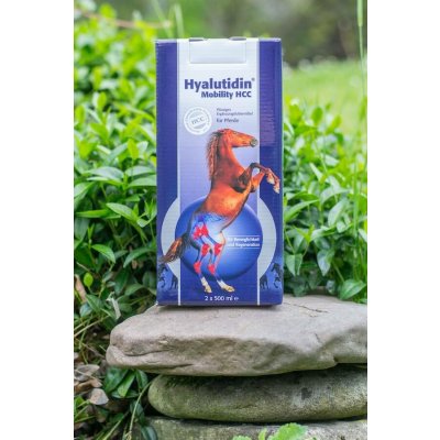 Hyalutidin Mobility HCC 2 x 500 ml – Zboží Mobilmania