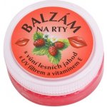 Bione Cosmetics balzám na rty med 25 ml – Hledejceny.cz