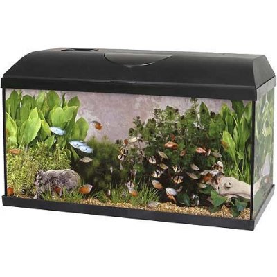 PACIFIC-60 akvárium s výbavou 1 x 15W Eco 60 x 30 x 30 cm, 54 l – Zbozi.Blesk.cz