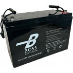 Boss DEEP Cycle Gel 12V 115Ah DG12-115 – Zboží Živě