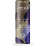 Attitude Balzám na rty kokos Leaves bar 8,5 g – Zboží Dáma