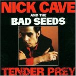 Cave Nick & Bad Seeds - Tender Prey LP – Hledejceny.cz