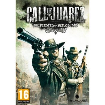 Call Of Juarez: Bound in Blood