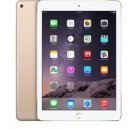 Tablet Apple iPad Air 2 Wi-Fi 16GB Gold MH0W2FD/A