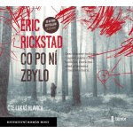 Co po ní zbylo - Rickstad Erik – Hledejceny.cz