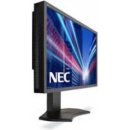 Monitor NEC P242W