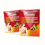 Herbalex Hřejivá náplast s kaštanem 1 ks – Hledejceny.cz