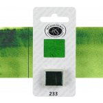 Roman Szmal Aquarius akvarelové barva pánvička zelená – Zboží Dáma