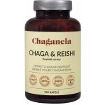 Chaganela Extrakt čagy s reishi 150 kapslí – Hledejceny.cz