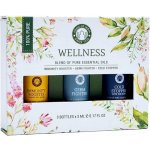 Song of India Essential Oil Aromaterapeutický set Wellness 3 x 5 ml – Zboží Mobilmania