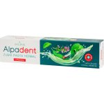 Alpa Dent Herbal 90 g – Hledejceny.cz