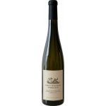 El Enemigo Gran Enemigo Torrontes 2020 Bílé 12,5% 0,75 l (holá láhev) – Hledejceny.cz