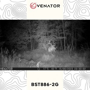 Venator BST886-2G