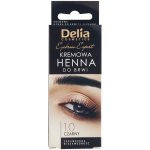 Delia Cosmetics Cameleo krémová profesionální barva na obočí 1.0 Black 15 ml – Zboží Dáma