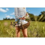 Tento Finest třívrstvé 55 m – Hledejceny.cz